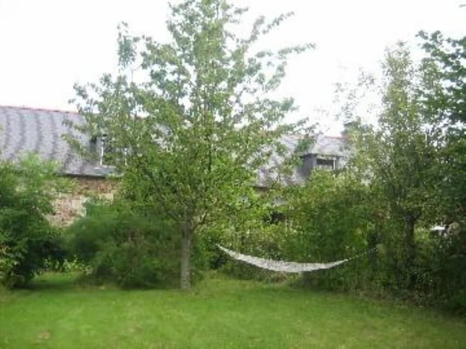 Garden, Park