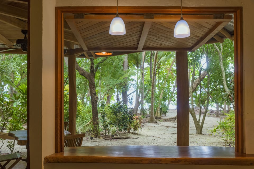 view from the kitchen