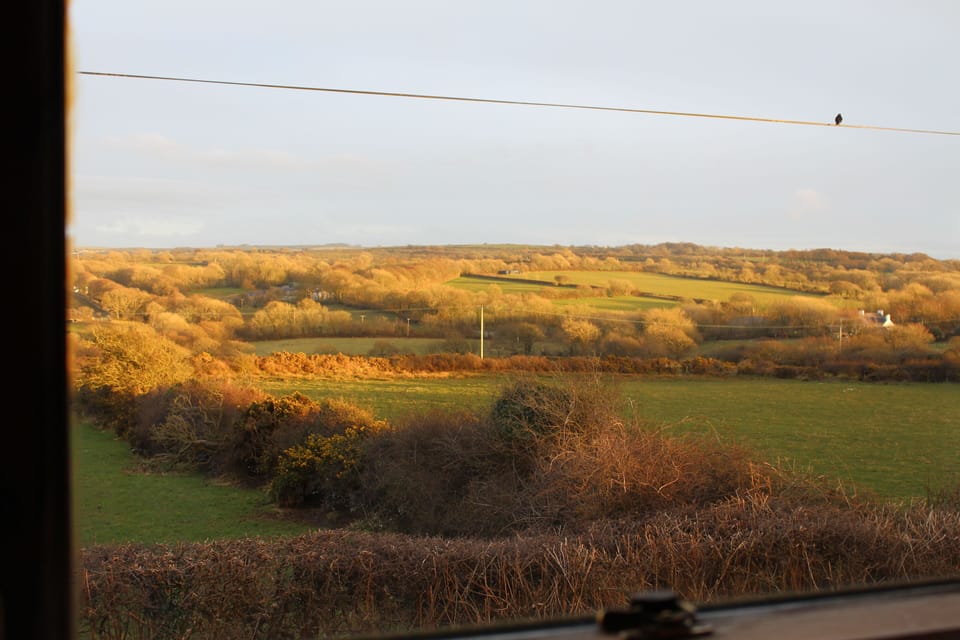 Bedroom window view