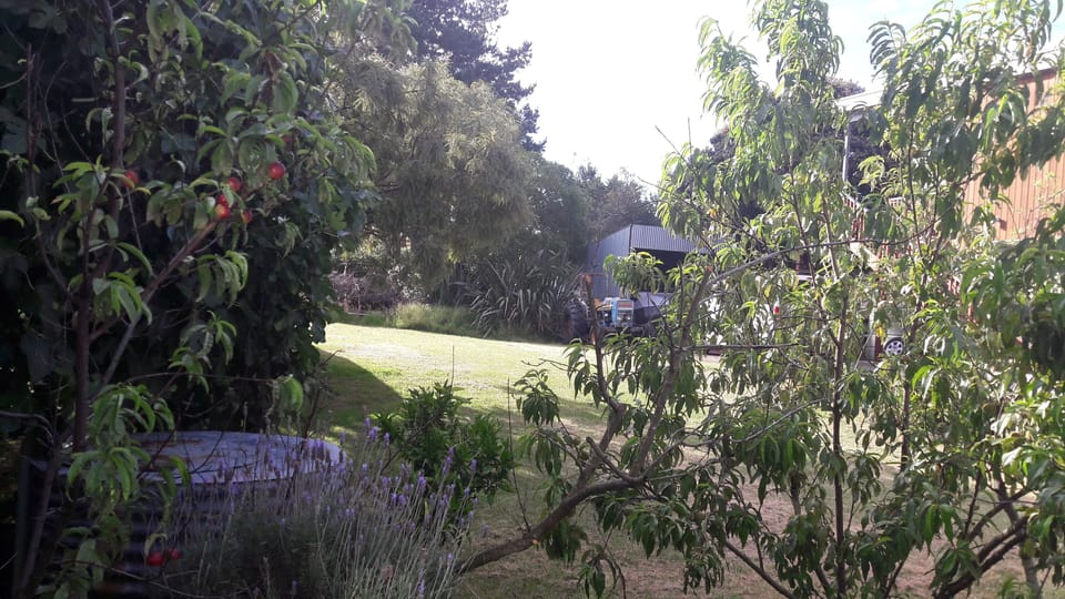View from the cool of the back deck