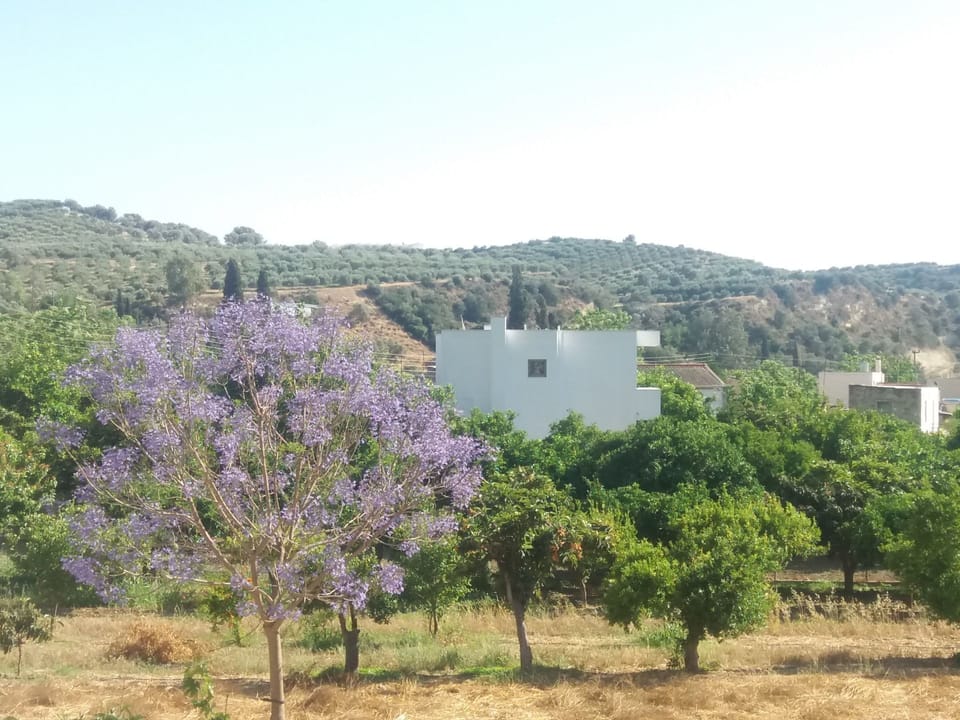 View from the balcony 