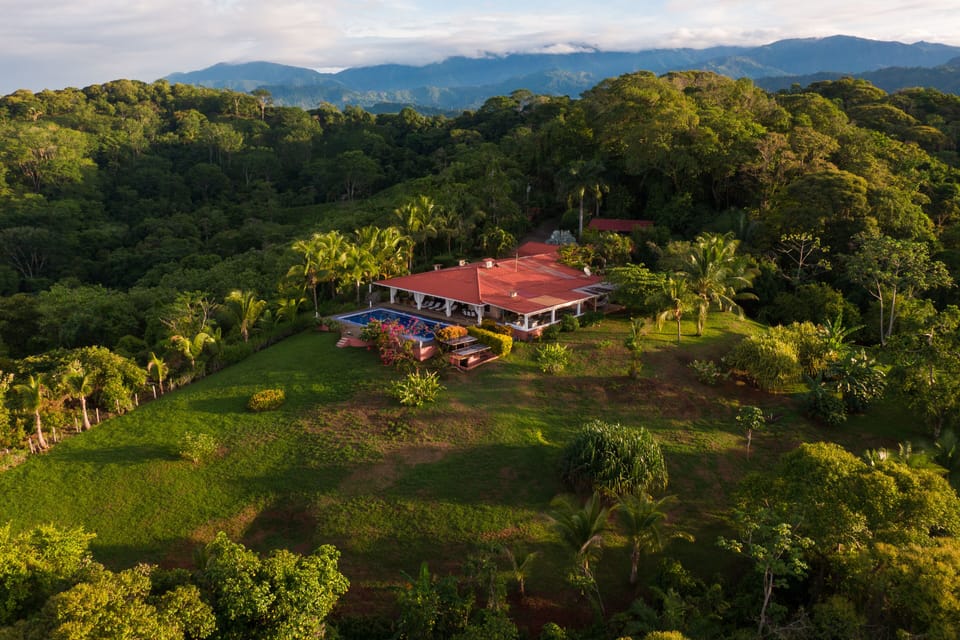 Toucan Gardens - from  above