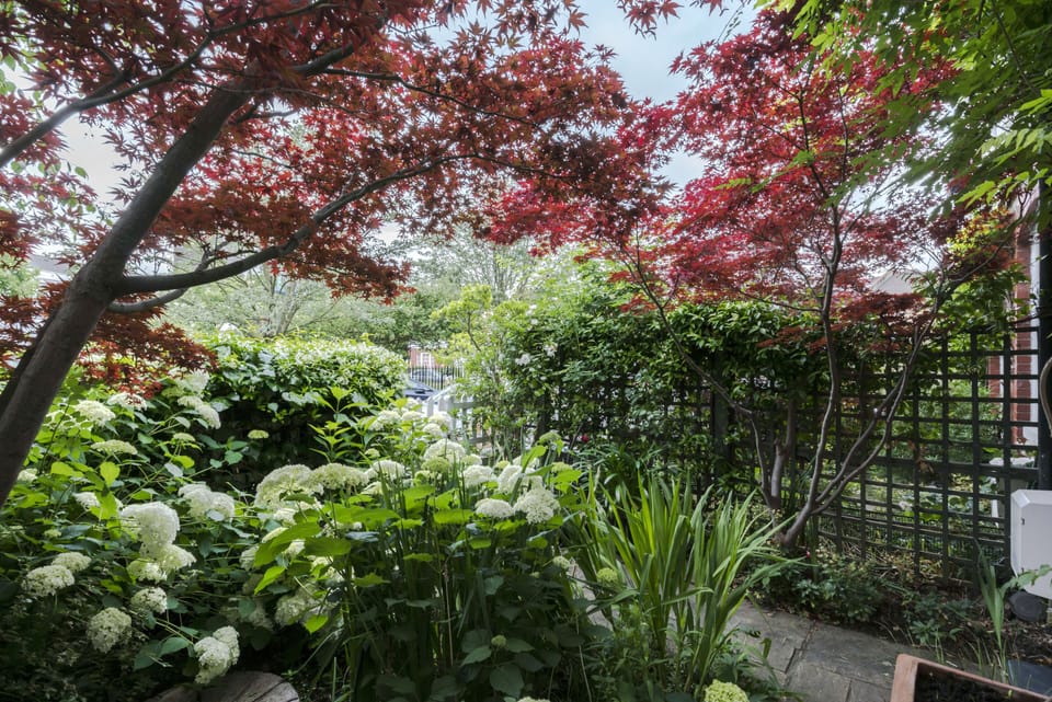 Lush private front garden with a white picket fence