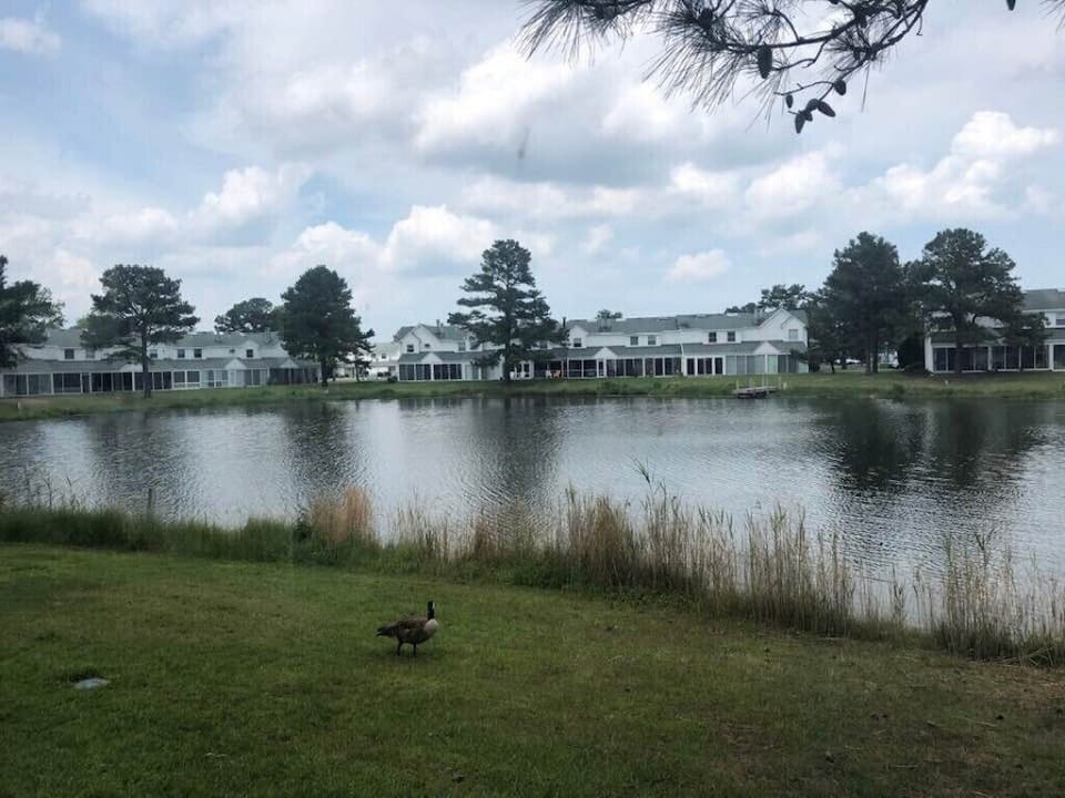 Lake