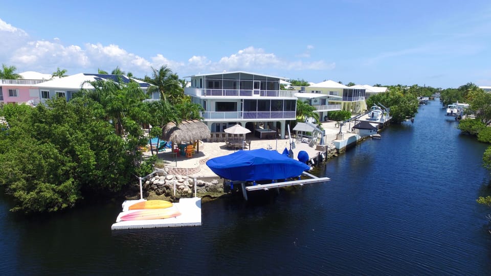 Rear view from the mangroves