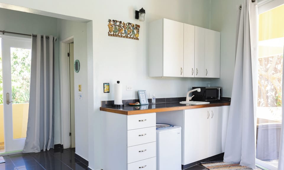 The primary suite has its own kitchenette