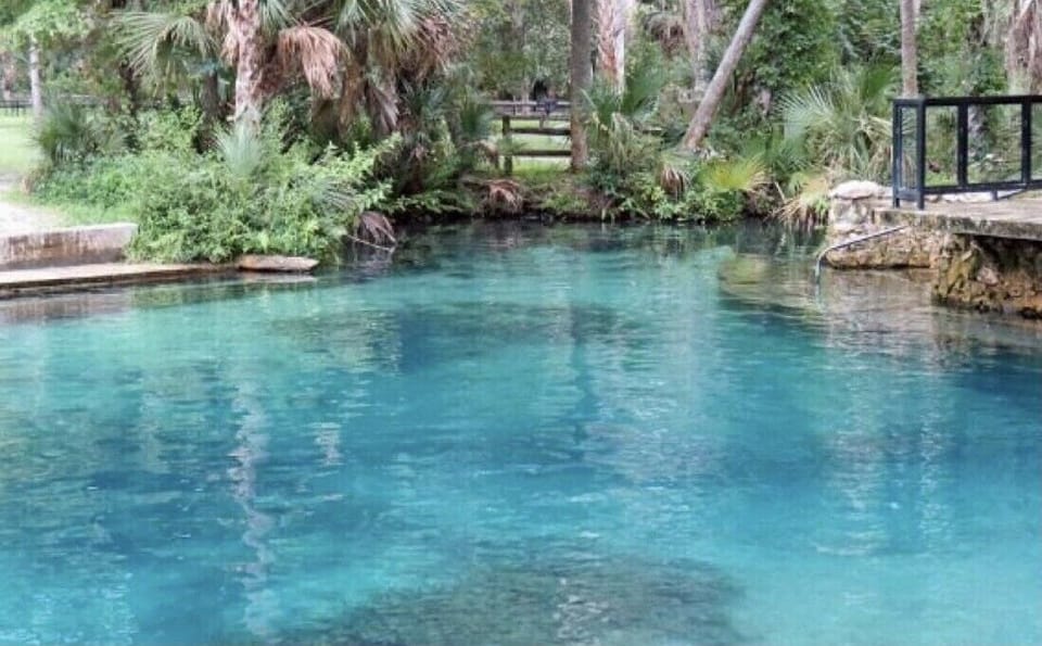 Natural Springs near by! 