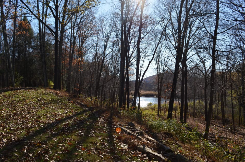 Nine acres include a stroll down to the pond. 
 