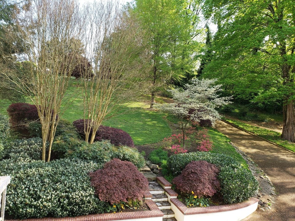 Garden front yard