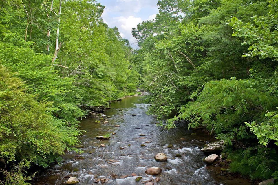River near the cabin