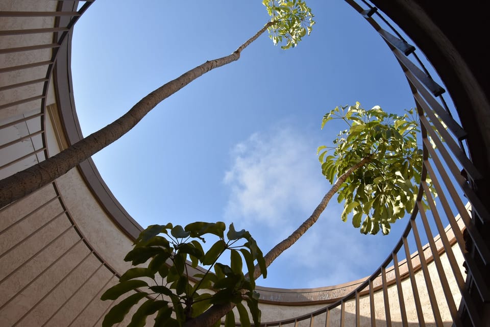 Open Courtyard