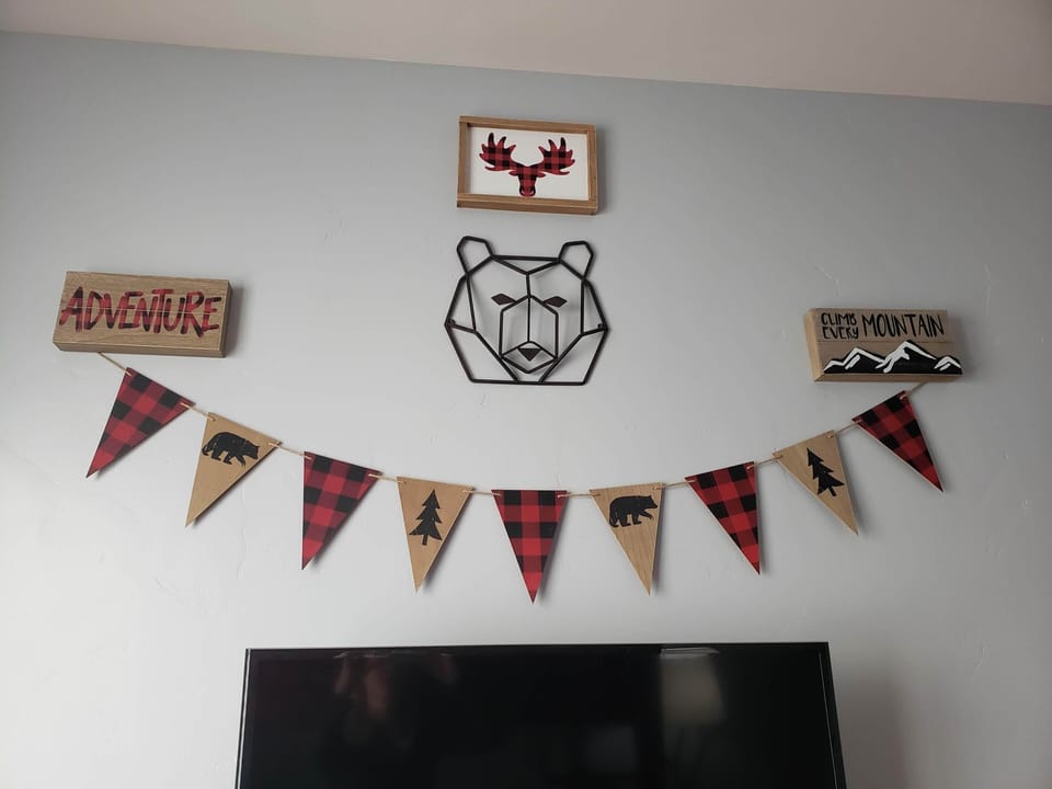 Decoration in Bunk Bedroom above smart TV