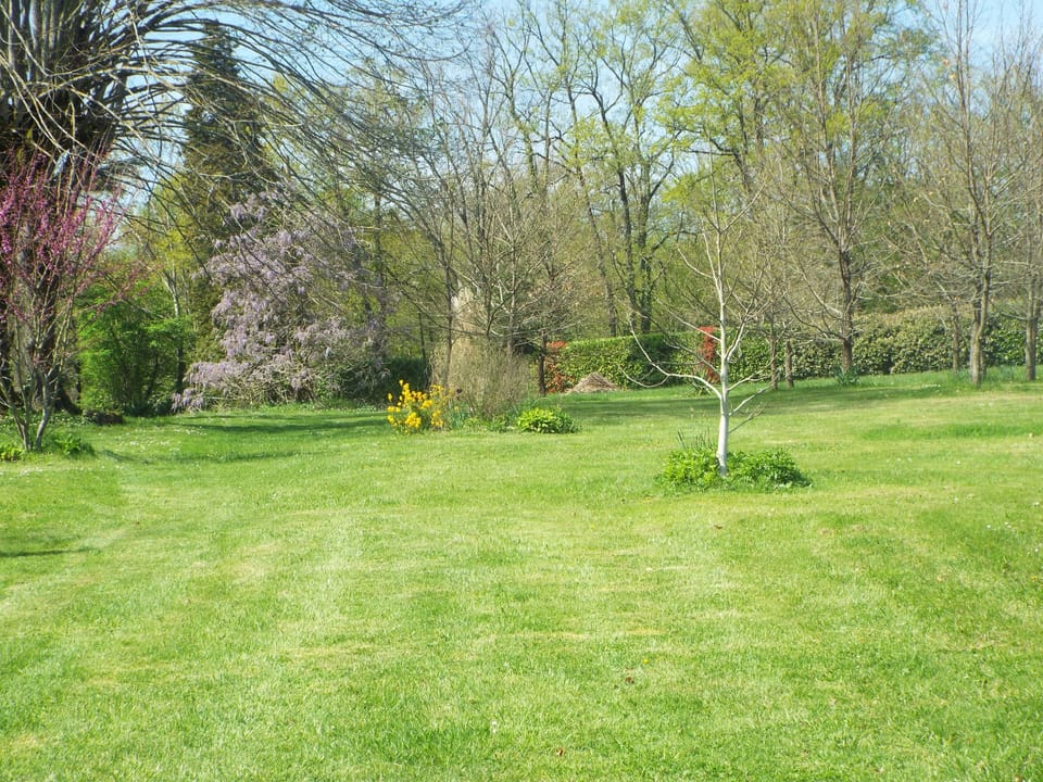 The grounds