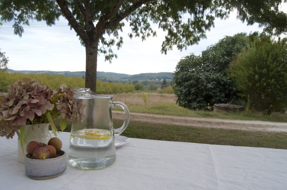 Lunch under the acacia tree