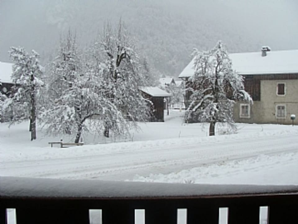 View from studio