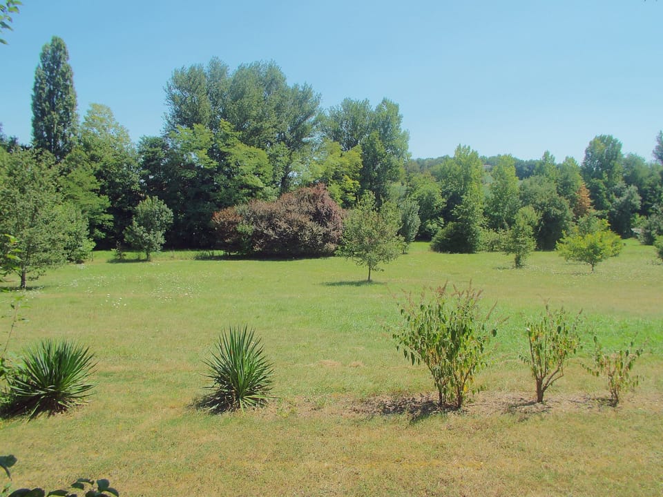 Grounds
