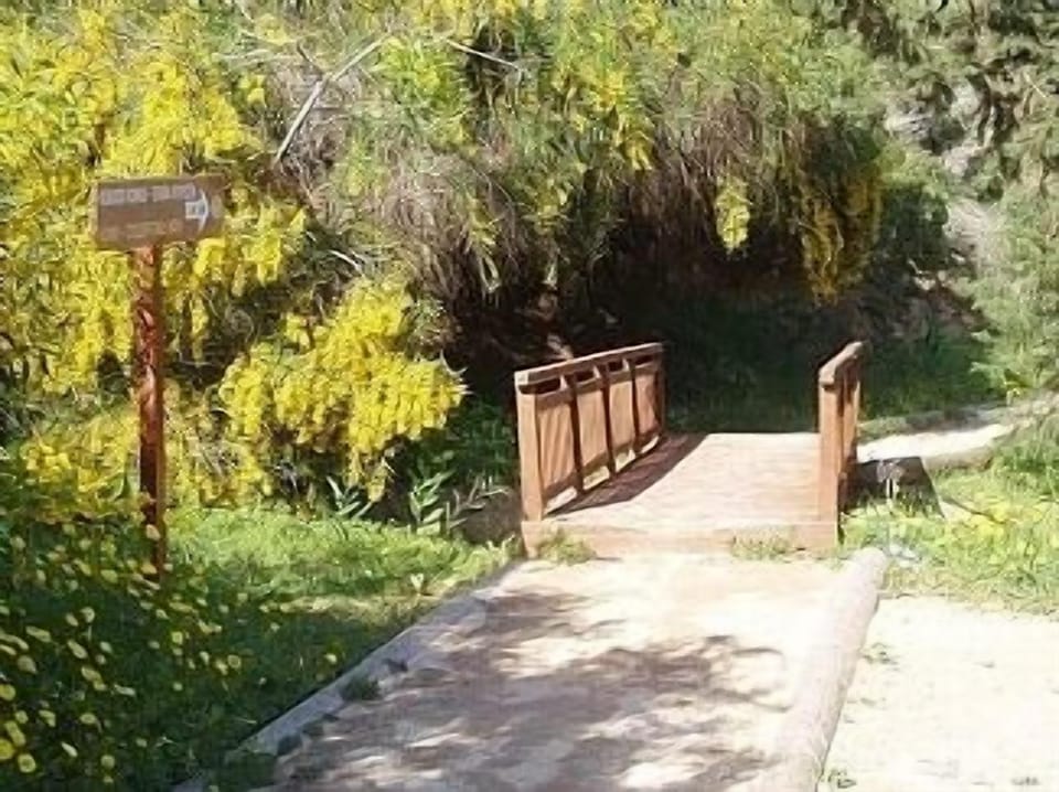Walkway and Nature Trail at nearby Konos Bay