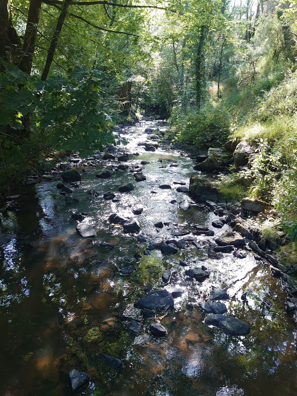 L'Anglin river gorge