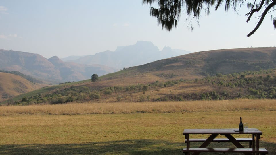 Picnic table and braai