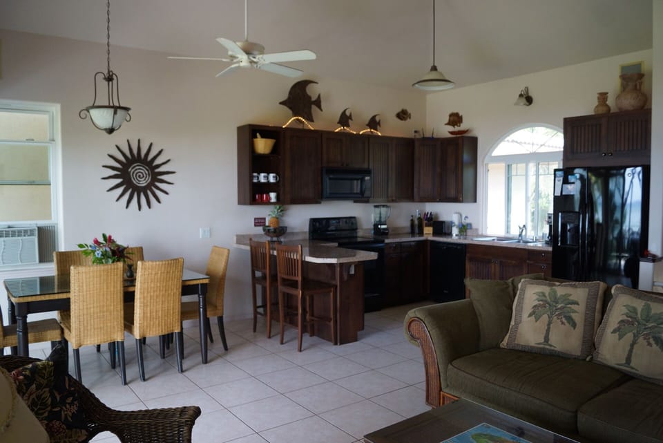 Great room.  Modern kitchen serves two dining area; one inside, one outside