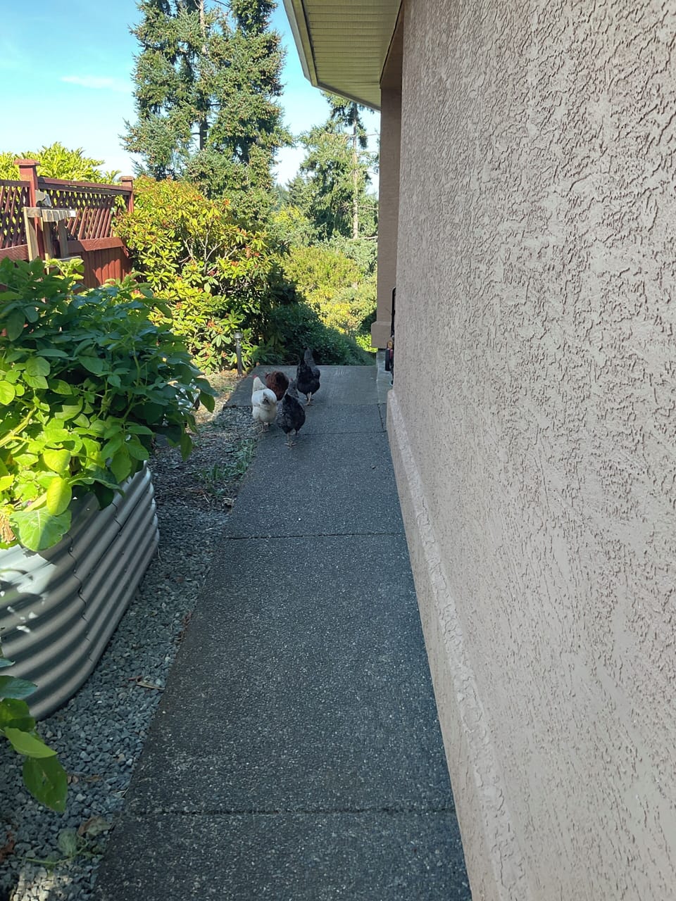 Private lit path to suite—welcomed by Salt, Pepper, Shake & Bake!