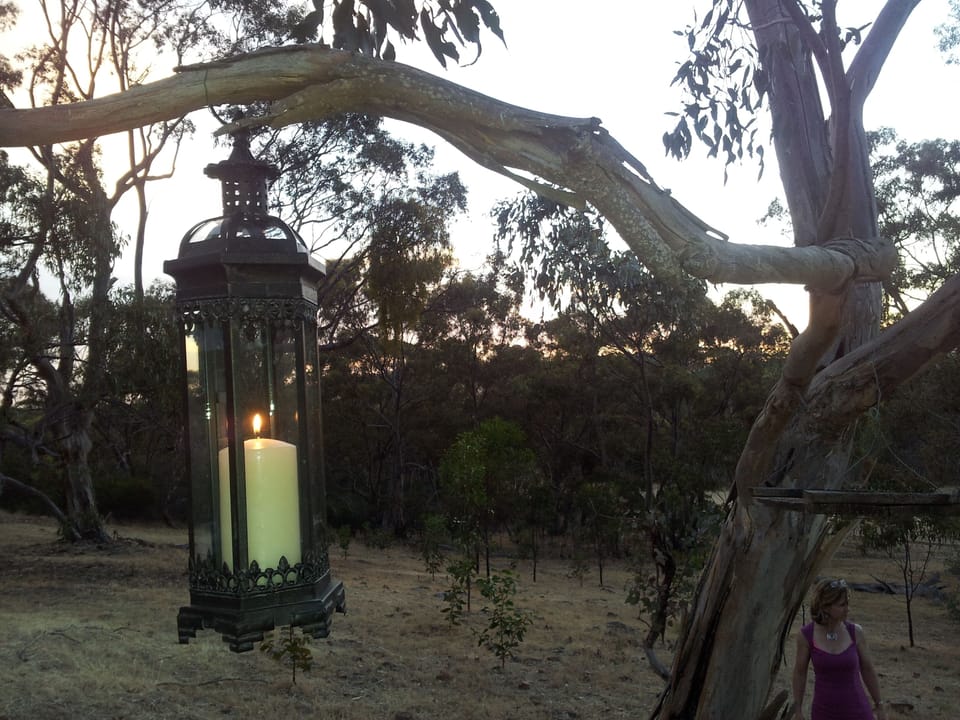 Lantern in the tree at Bronte terrace.