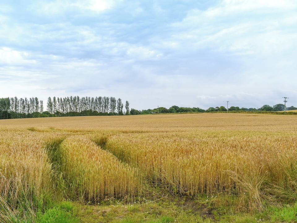 Surrounding area | The Cottage at Cauldcoats, Near Linlithgow