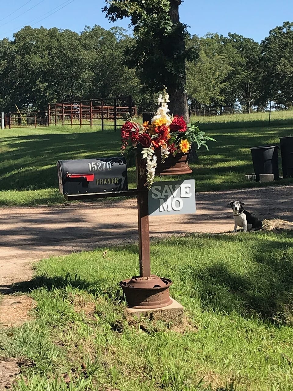 Welcome to SAVE,MO Cottage-
mailbox - Holly says, "Welcome and hello guest!"