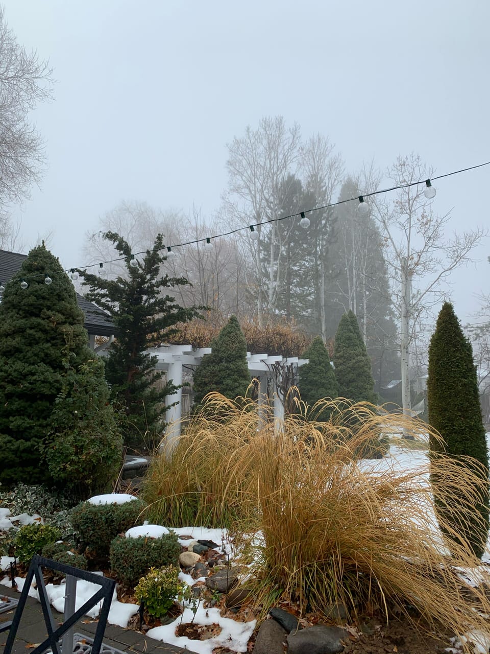Magical winter garden