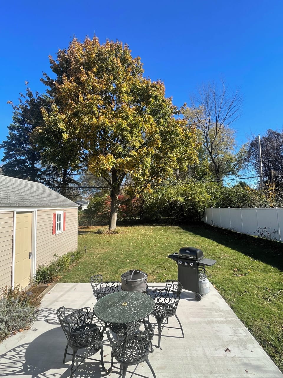 Big backyard. Bbq, play football or read a book.
