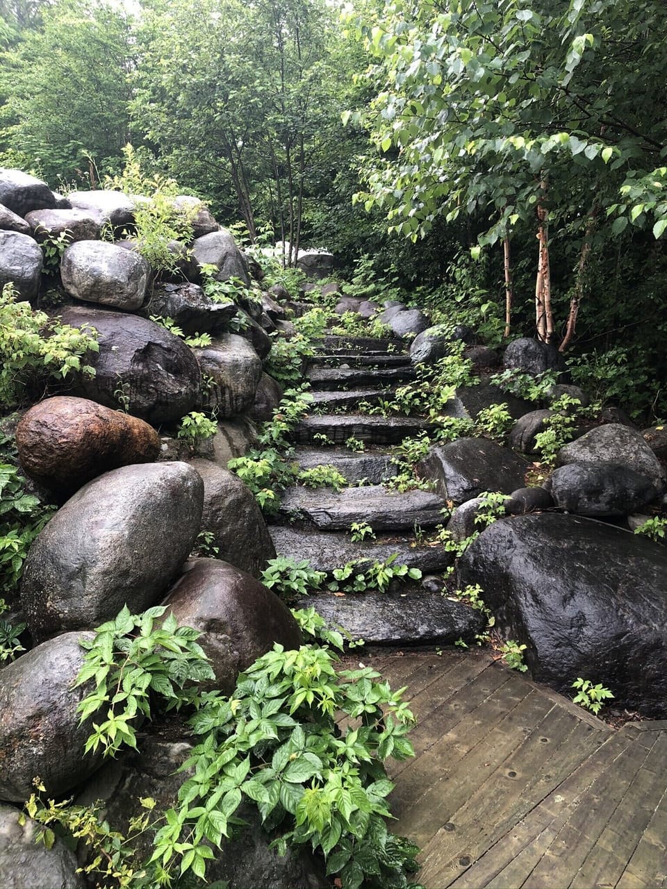 Stone staircase to house from upper level driveway.