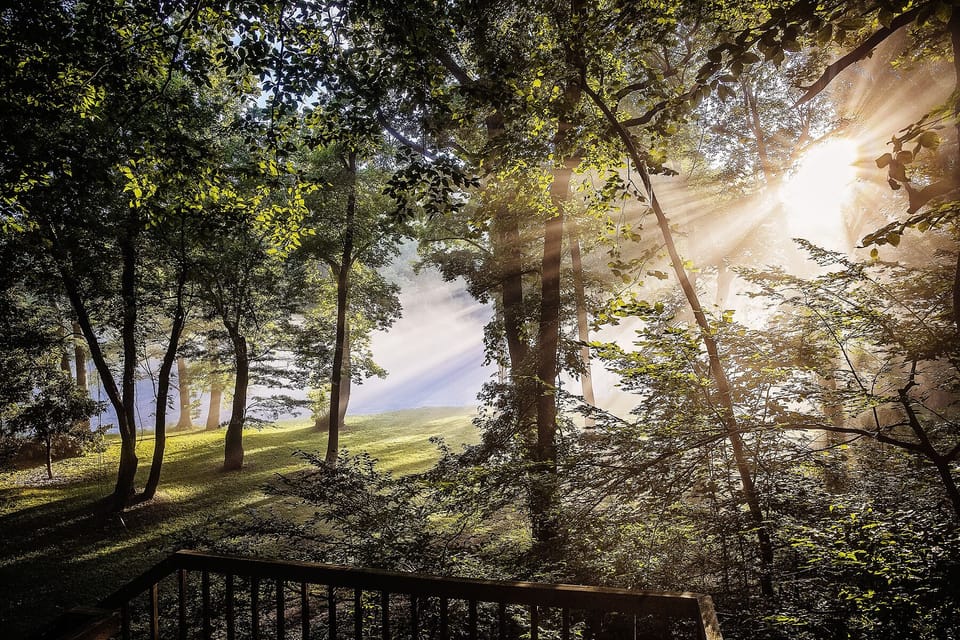 View from property