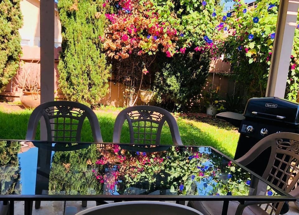 Back Patio