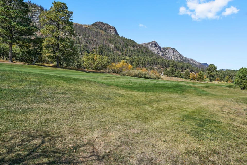 View from back porch in October