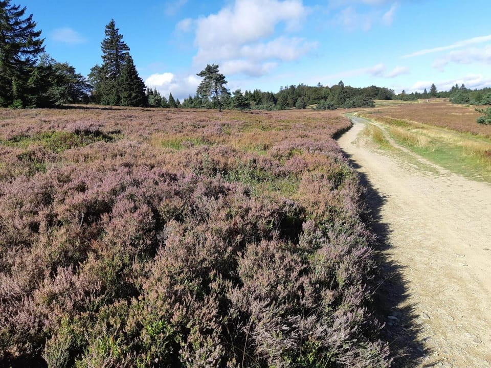 Surroundings [summer] (1-5 km)