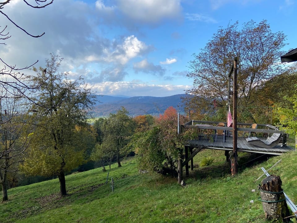 View from property