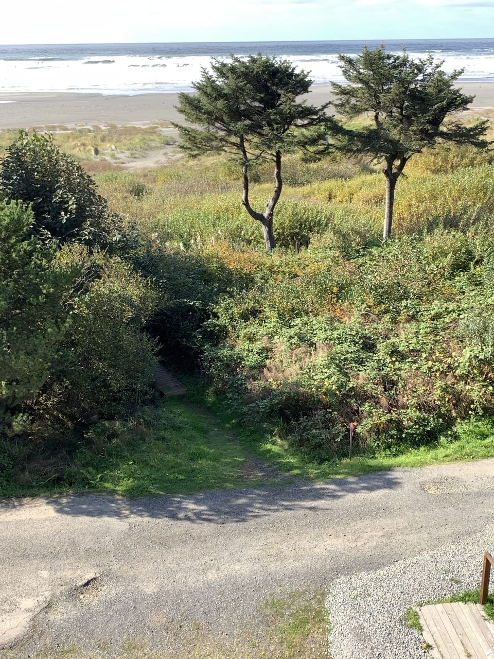 Beach access trail just across the private road; only 60 steps to the beach!