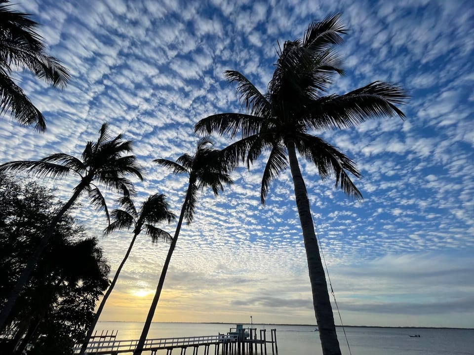Puffy Skies and Palms
