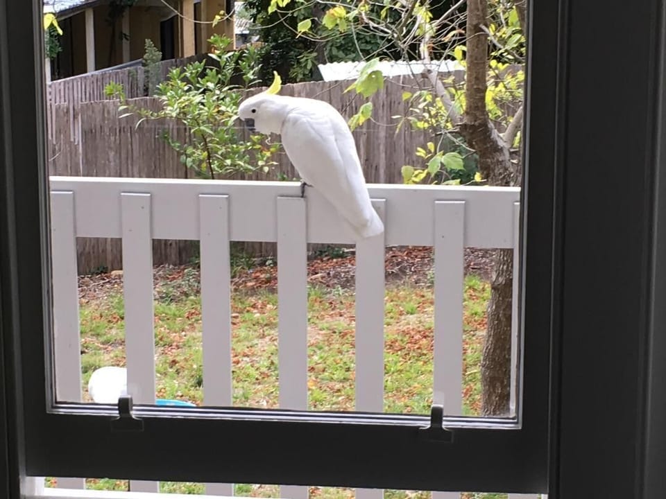 our daily visitors