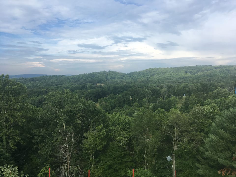 Summer view