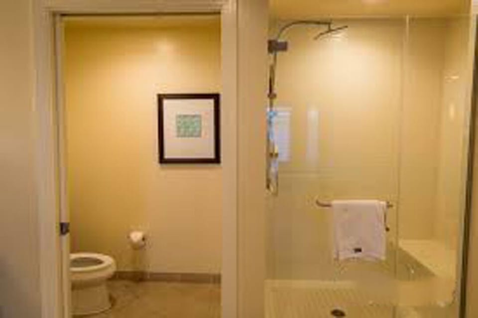 Large walk-in shower and enclosed toilet area
