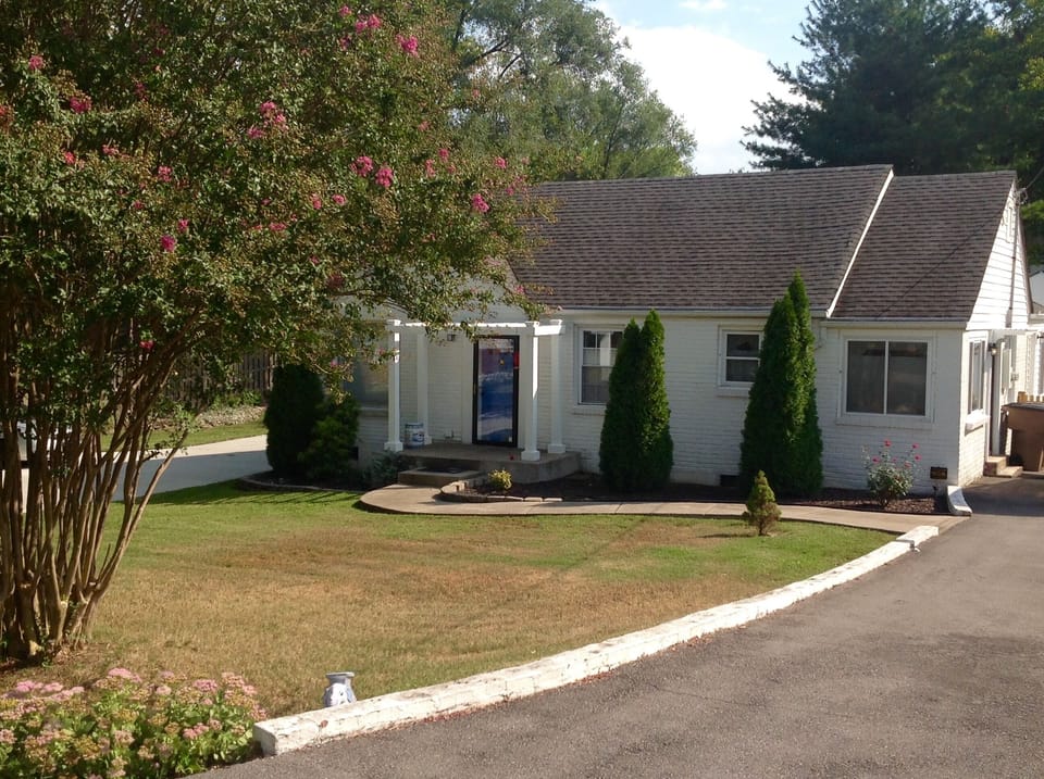 Front yard and driveway/parking