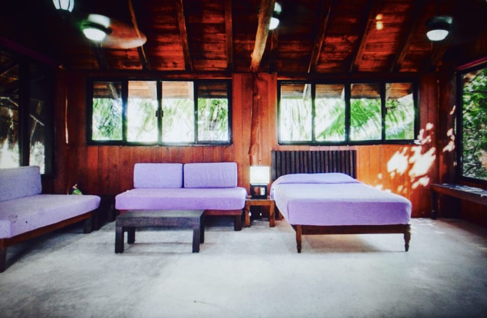 Ideal for families or a group of friends traveling together 