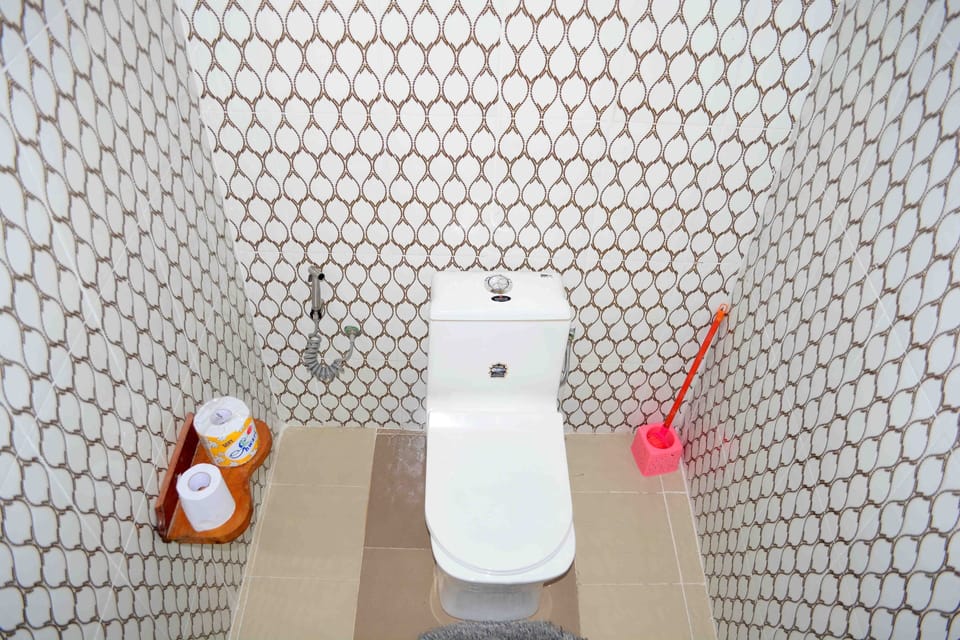 CLEAN TOILET