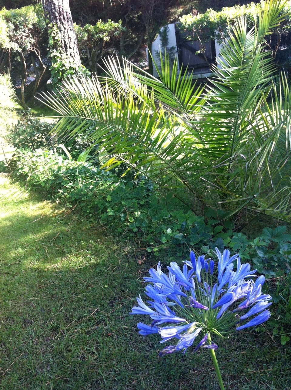 Rent Nice Villa at Cap-Ferret