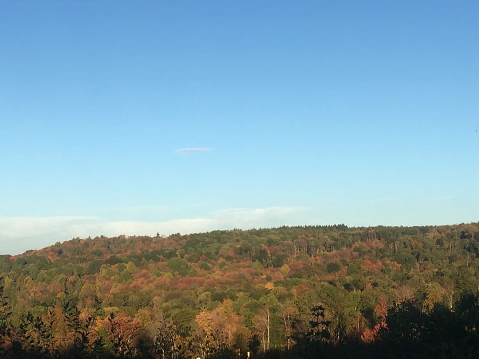 Fall foilage