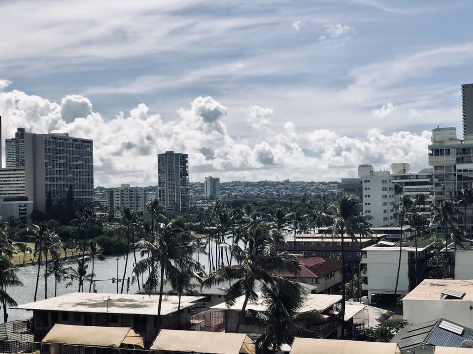 view out side front door... the ala wai