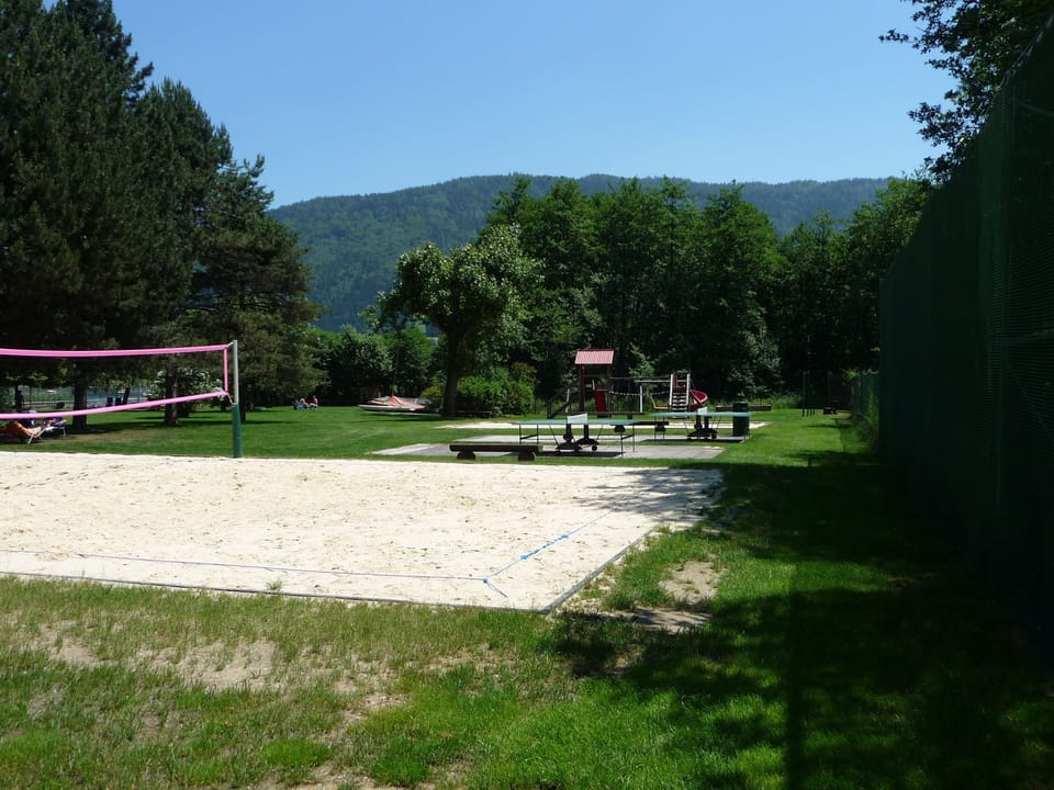 Sport court