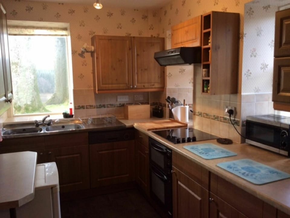 Cabinetry, Kitchen Sink, Countertop, Property, Sink, Window, Kitchen Appliance, Tap, Wood, Kitchen Stove