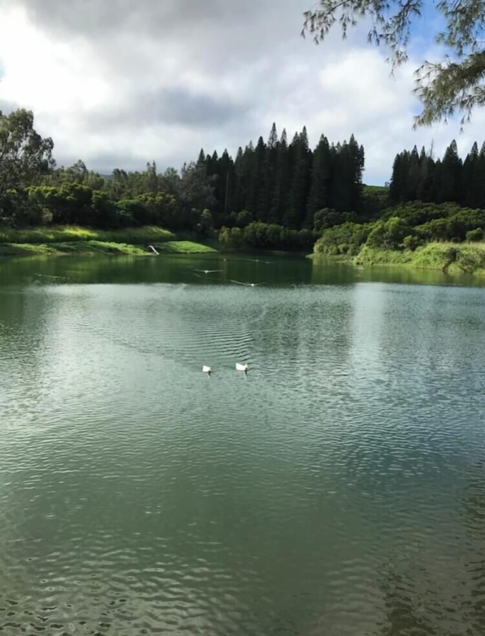 Lake
